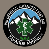 https://zapadorandino.cl/curso-wafa-wilderness-advanced-first-aid-40-horas/
